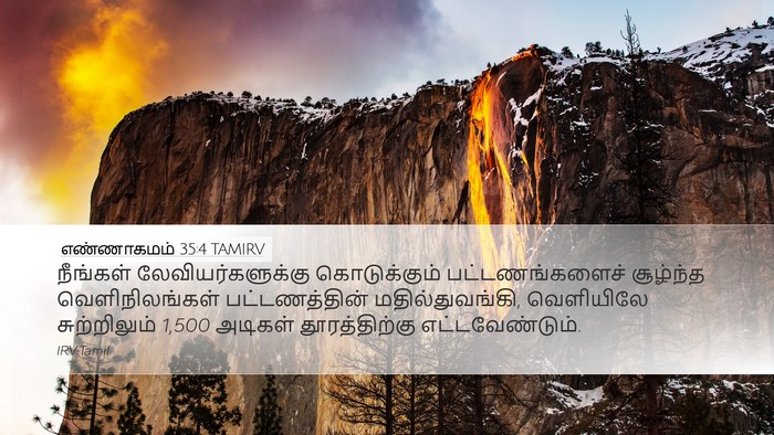 எண்ணாகமம் 35:4 TAMIRV Desktop Wallpaper - நீங்கள் - Desktop Bible Verse Wallpaper