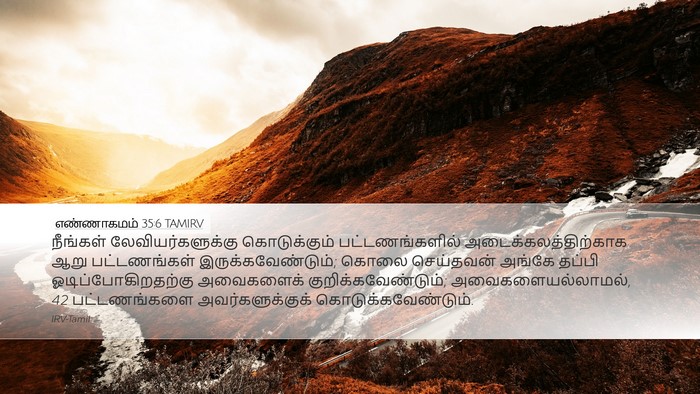 எண்ணாகமம் 35:6 TAMIRV Bible Verse Image