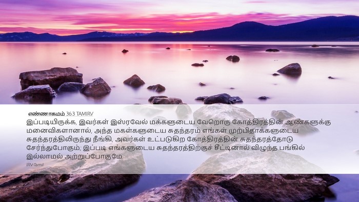எண்ணாகமம் 36:3 TAMIRV Desktop Wallpaper - இப்படியிருக்க, - Desktop Bible Verse Wallpaper