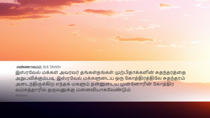 எண்ணாகமம் 36:8 TAMIRV Desktop Wallpaper - இஸ்ரவேல் மக்கள் - Desktop Bible Verse Wallpaper