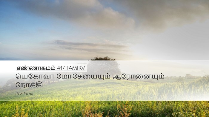 எண்ணாகமம் 4:17 TAMIRV Desktop Wallpaper - யெகோவா மோசேயையும் - Desktop Bible Verse Wallpaper