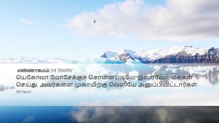 எண்ணாகமம் 5:4 TAMIRV Desktop Wallpaper - யெகோவா மோசேக்குச் - Desktop Bible Verse Wallpaper