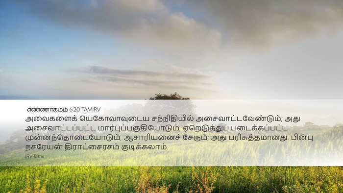 எண்ணாகமம் 6:20 TAMIRV Bible Verse Image