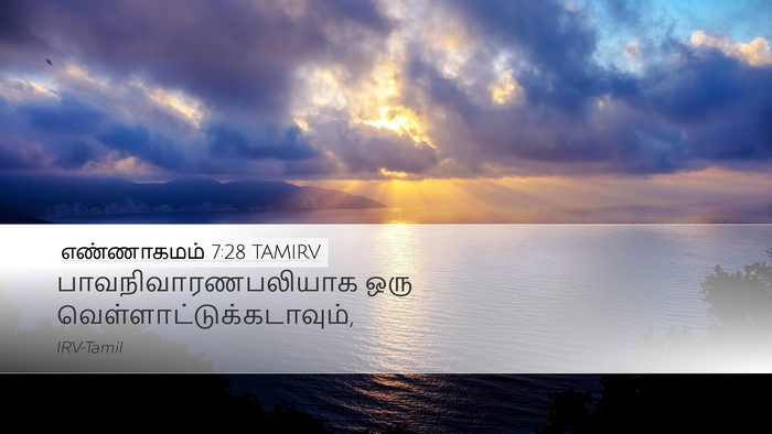 எண்ணாகமம் 7:28 TAMIRV Desktop Wallpaper - பாவநிவாரணபலியாக - Desktop Bible Verse Wallpaper