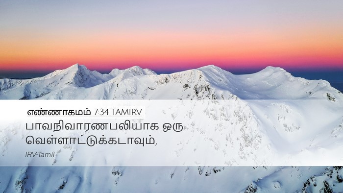 எண்ணாகமம் 7:34 TAMIRV Desktop Wallpaper - பாவநிவாரணபலியாக - Desktop Bible Verse Wallpaper