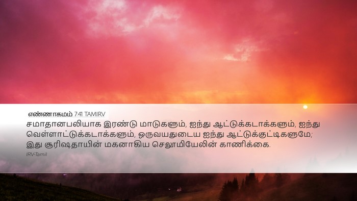 எண்ணாகமம் 7:41 TAMIRV Desktop Wallpaper - சமாதானபலியாக - Desktop Bible Verse Wallpaper