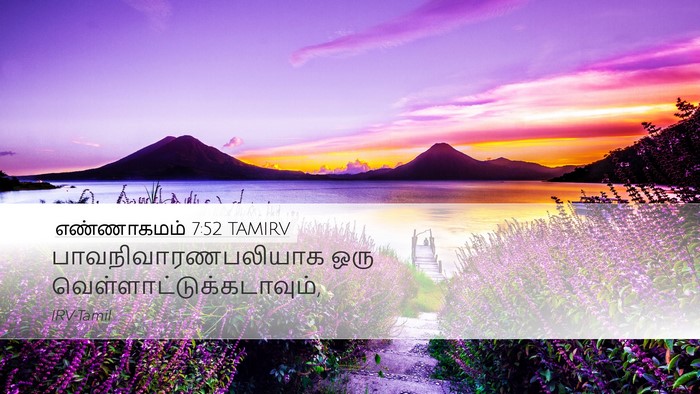 எண்ணாகமம் 7:52 TAMIRV Desktop Wallpaper - பாவநிவாரணபலியாக - Desktop Bible Verse Wallpaper