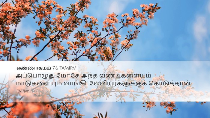 எண்ணாகமம் 7:6 TAMIRV Desktop Wallpaper - அப்பொழுது மோசே - Desktop Bible Verse Wallpaper