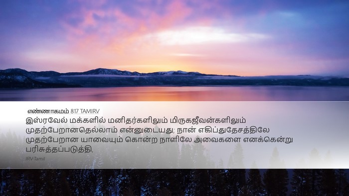 எண்ணாகமம் 8:17 TAMIRV Bible Verse Image