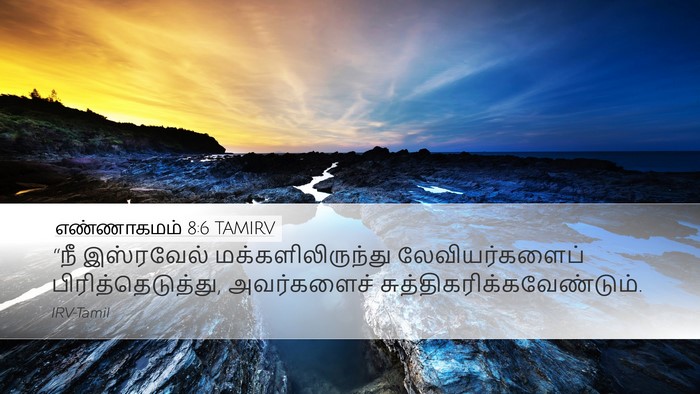 எண்ணாகமம் 8:6 TAMIRV Bible Verse Image