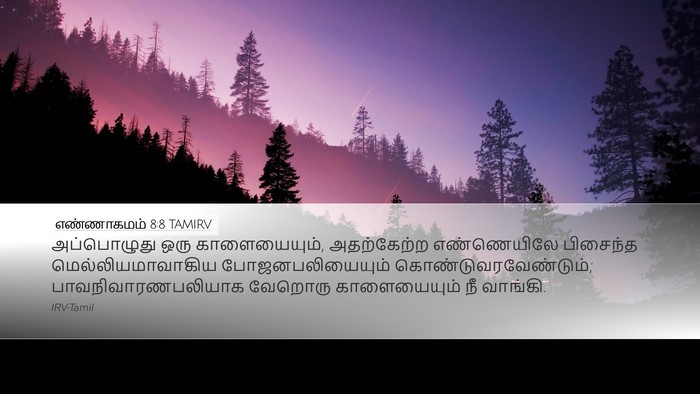 எண்ணாகமம் 8:8 TAMIRV Bible Verse Image