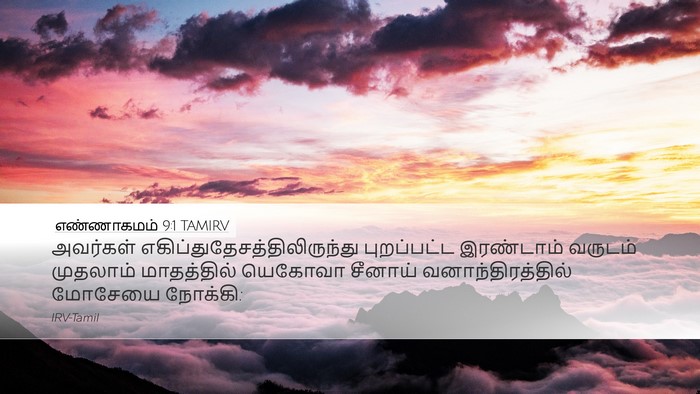 எண்ணாகமம் 9:1 TAMIRV Bible Verse Image