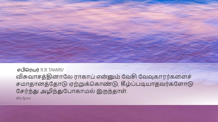 எபிரெயர் 11:31 TAMIRV Bible Verse Image