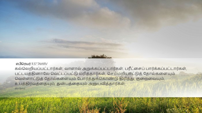 எபிரெயர் 11:37 TAMIRV Bible Verse Image