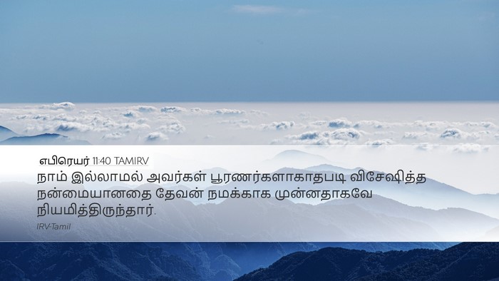 எபிரெயர் 11:40 TAMIRV Desktop Wallpaper - நாம் இல்லாமல் - Desktop Bible Verse Wallpaper