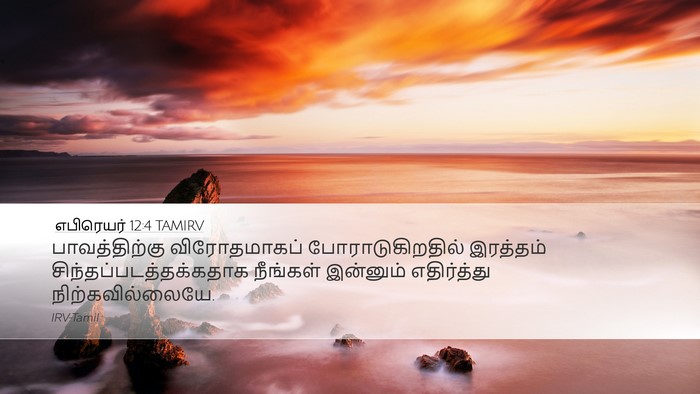 எபிரெயர் 12:4 TAMIRV Bible Verse Image