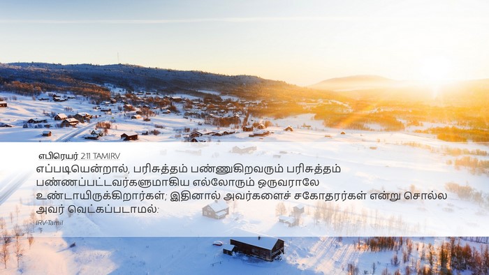 எபிரெயர் 2:11 TAMIRV Bible Verse Image