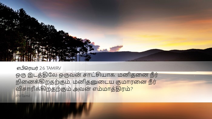 எபிரெயர் 2:6 TAMIRV Bible Verse Image