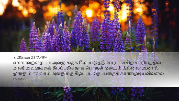 எபிரெயர் 2:8 TAMIRV Bible Verse Image