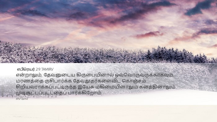 எபிரெயர் 2:9 TAMIRV Bible Verse Image