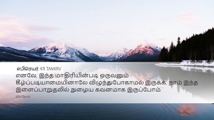 எபிரெயர் 4:11 TAMIRV Bible Verse Image