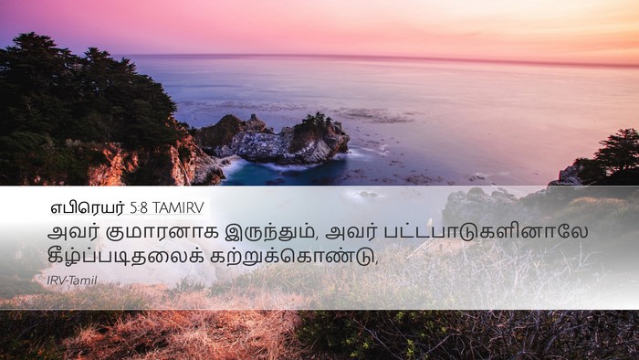எபிரெயர் 5:8 TAMIRV Bible Verse Image