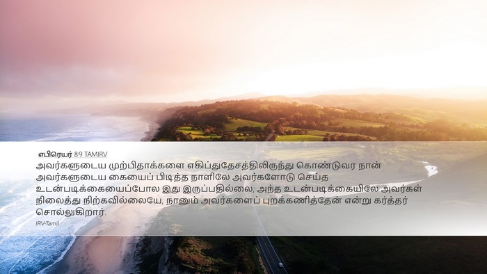 எபிரெயர் 8:9 TAMIRV Bible Verse Image