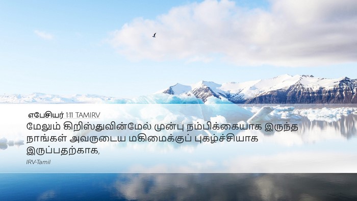 எபேசியர் 1:11 TAMIRV Bible Verse Image