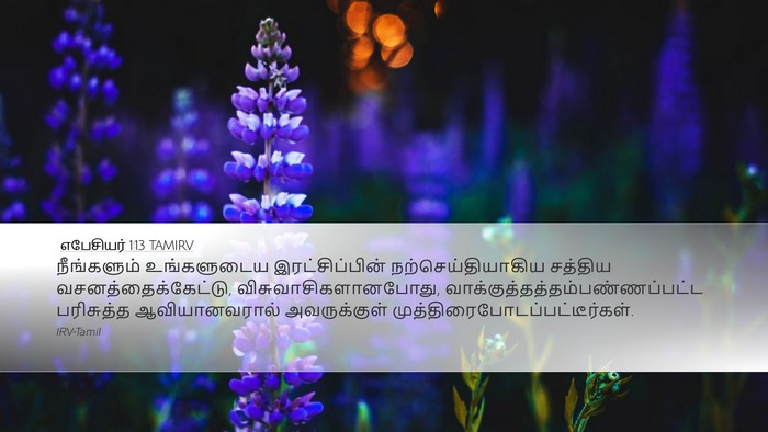 எபேசியர் 1:13 TAMIRV Bible Verse Image