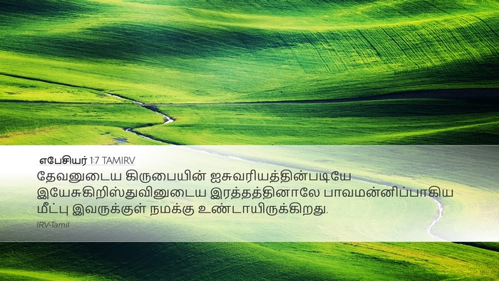 எபேசியர் 1:7 TAMIRV Bible Verse Image