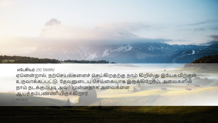 எபேசியர் 2:10 TAMIRV Bible Verse Image