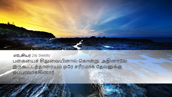 எபேசியர் 2:16 TAMIRV Bible Verse Image