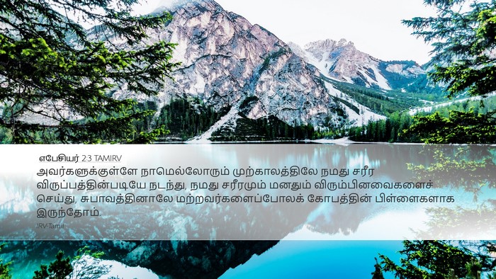 எபேசியர் 2:3 TAMIRV Bible Verse Image