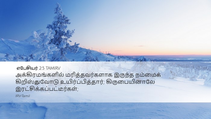 எபேசியர் 2:5 TAMIRV Bible Verse Image