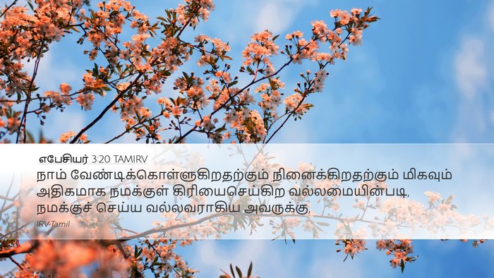 எபேசியர் 3:20 TAMIRV Bible Verse Image