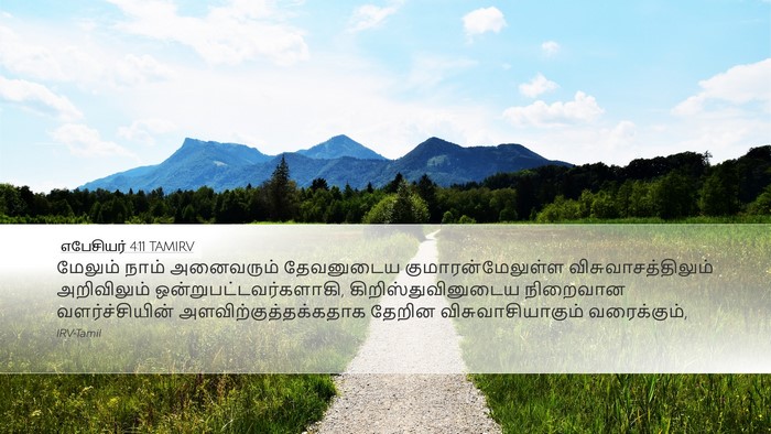 எபேசியர் 4:11 TAMIRV Bible Verse Image
