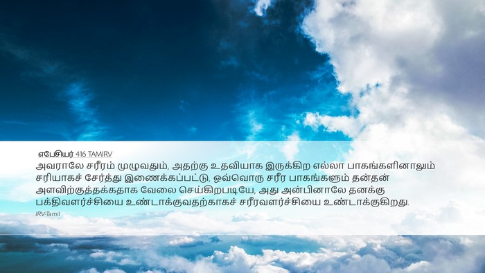 எபேசியர் 4:16 TAMIRV Bible Verse Image