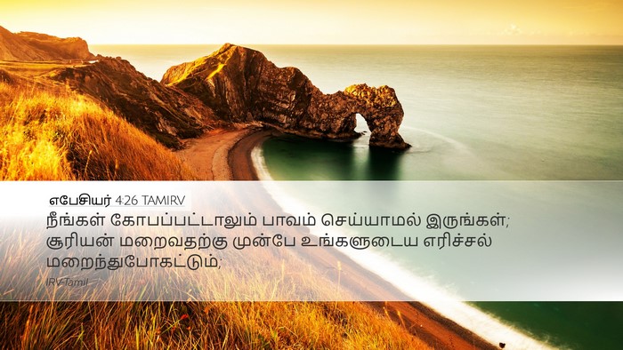 எபேசியர் 4:26 TAMIRV Bible Verse Image