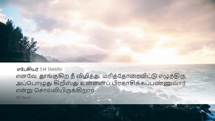 எபேசியர் 5:14 TAMIRV Bible Verse Image