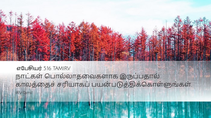 எபேசியர் 5:16 TAMIRV Bible Verse Image