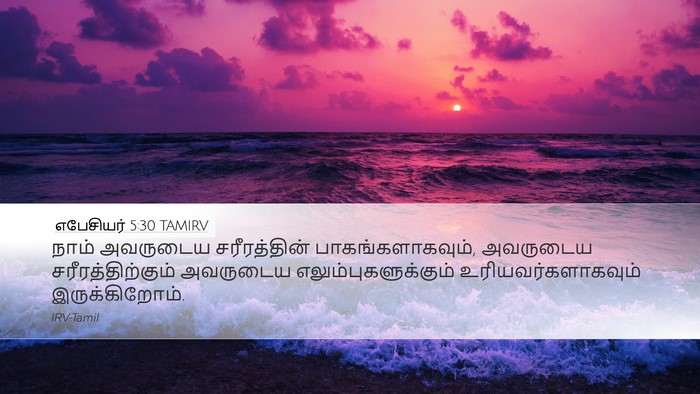 எபேசியர் 5:30 TAMIRV Bible Verse Image