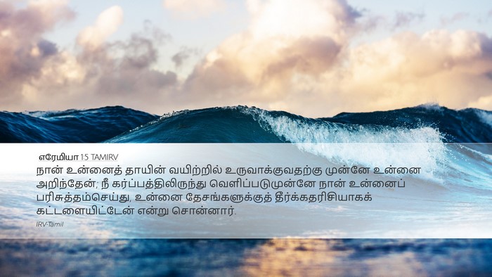 எரேமியா 1:5 TAMIRV Bible Verse Image