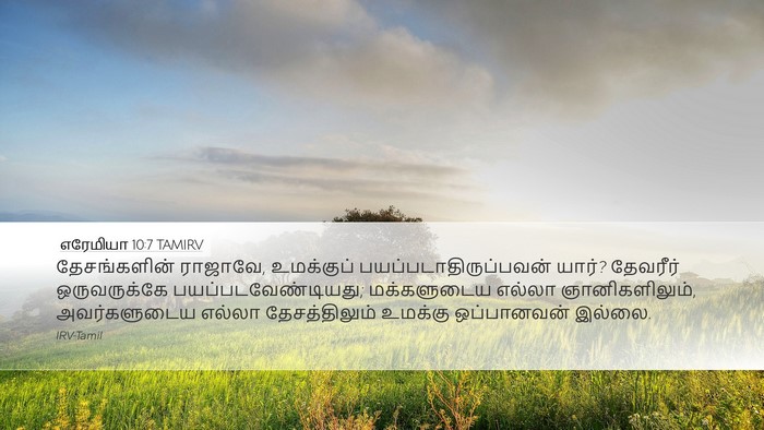 எரேமியா 10:7 TAMIRV Bible Verse Image
