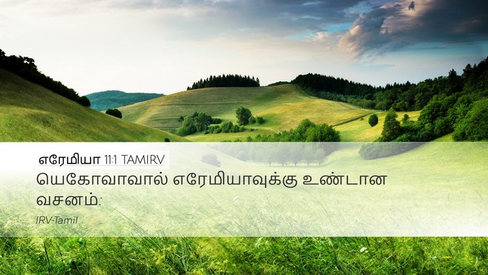 எரேமியா 11:1 TAMIRV Desktop Wallpaper - யெகோவாவால் - Desktop Bible Verse Wallpaper