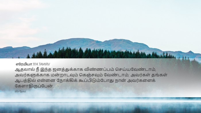 எரேமியா 11:14 TAMIRV Bible Verse Image
