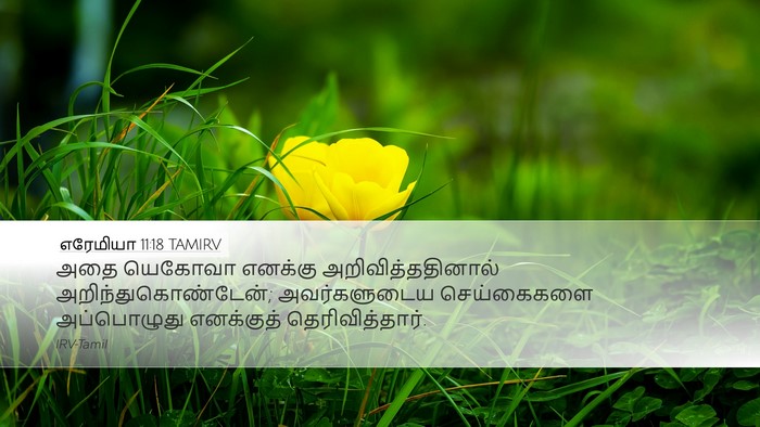 எரேமியா 11:18 TAMIRV Desktop Wallpaper - அதை யெகோவா எனக்கு - Desktop Bible Verse Wallpaper