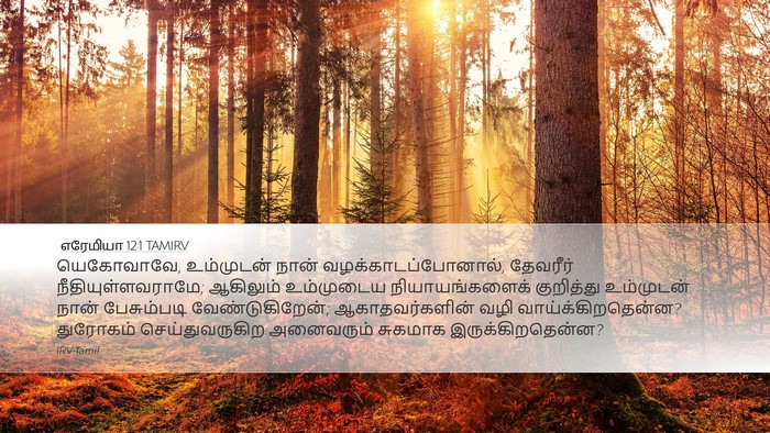 எரேமியா 12:1 TAMIRV Bible Verse Image