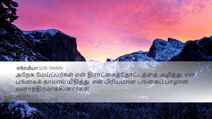 எரேமியா 12:10 TAMIRV Bible Verse Image