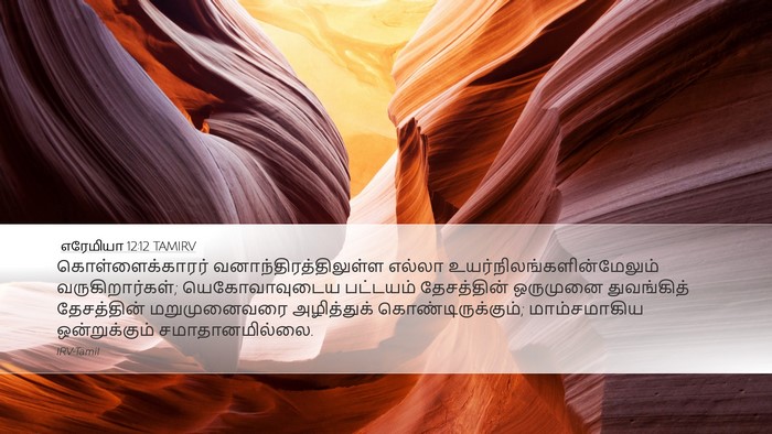எரேமியா 12:12 TAMIRV Bible Verse Image