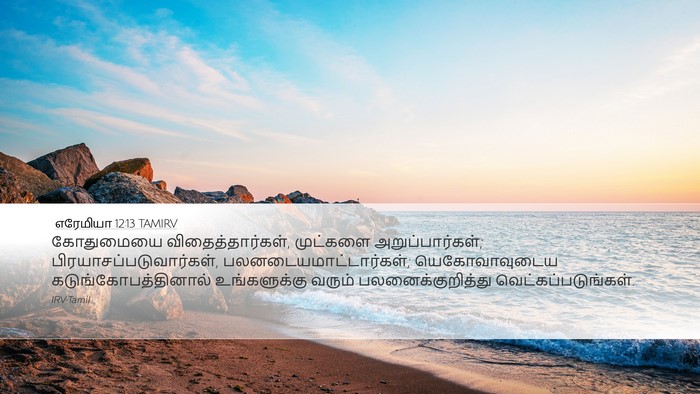 எரேமியா 12:13 TAMIRV Bible Verse Image